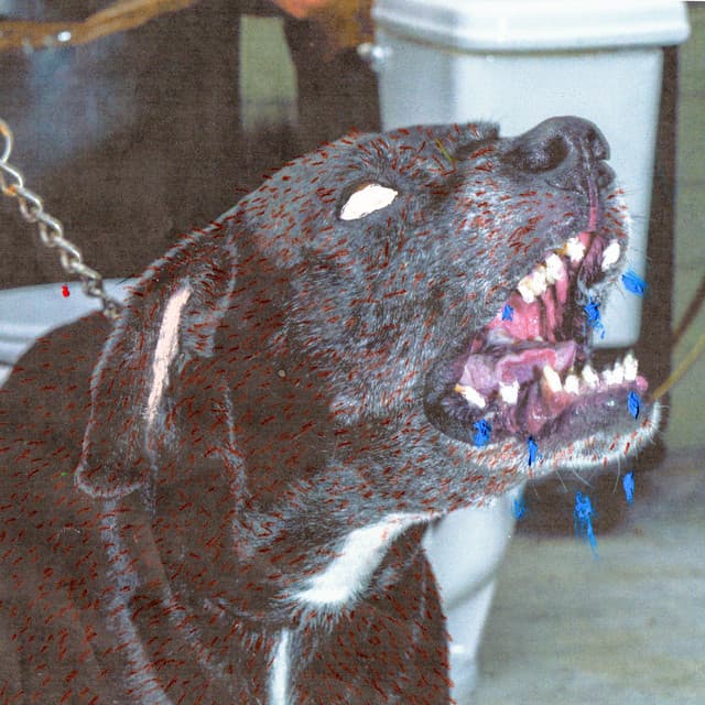 WOOF