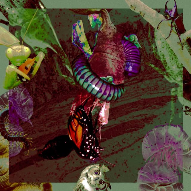 Metamorfosis